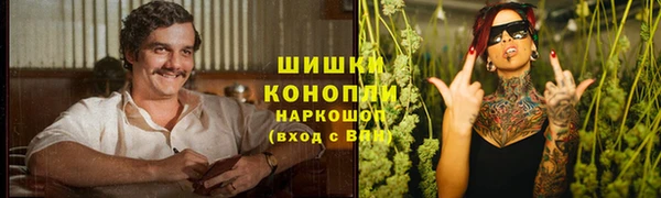 соль ск Дмитров