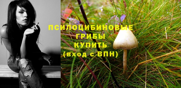 ALPHA-PVP Дмитриев