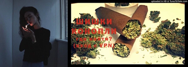 соль ск Дмитров