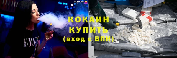 соль ск Дмитров