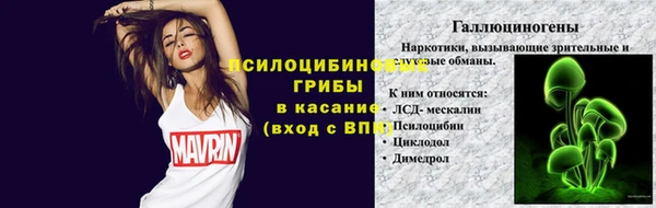 соль ск Дмитров