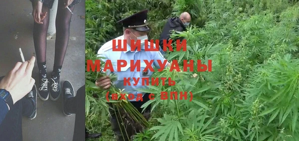 соль ск Дмитров