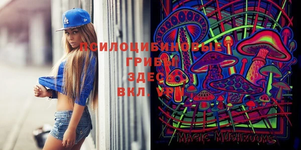 меф Дмитровск