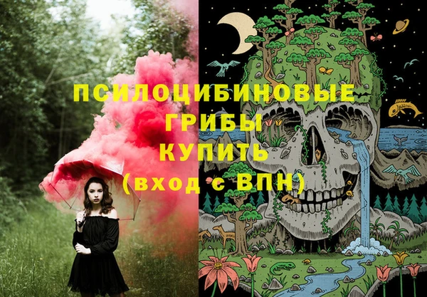 соль ск Дмитров
