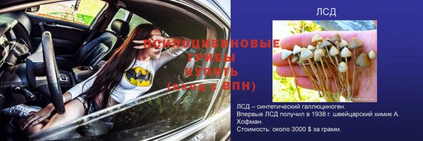 соль ск Дмитров