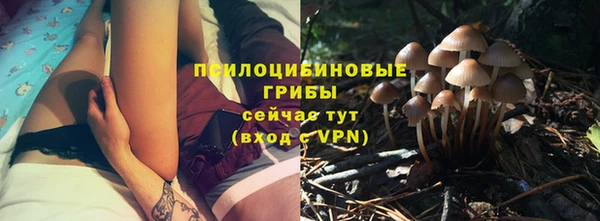 ALPHA-PVP Дмитриев